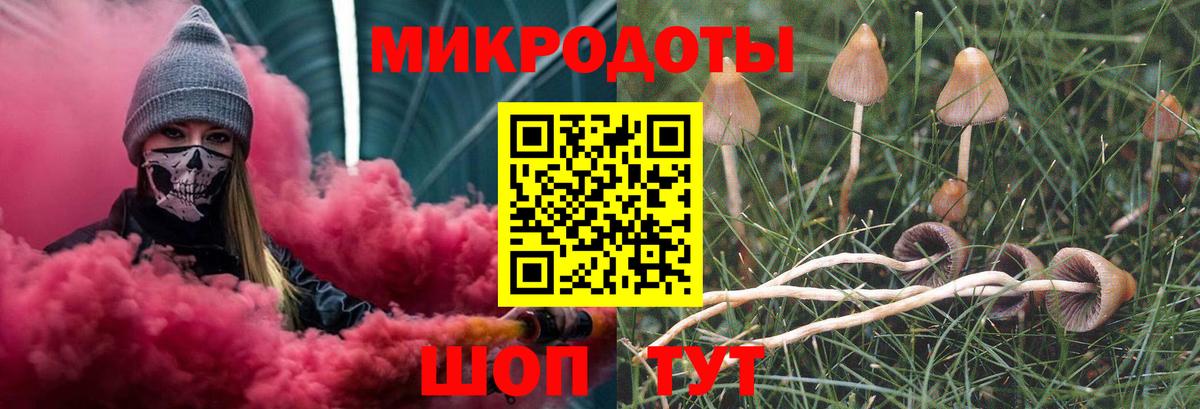 Галлюциногенные грибы прущие грибы  Вход с VPN  Россия 