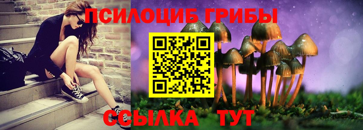 Галлюциногенные грибы Cubensis Россия